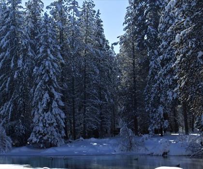 Ray Benson trail - hiking in Central Oregon
