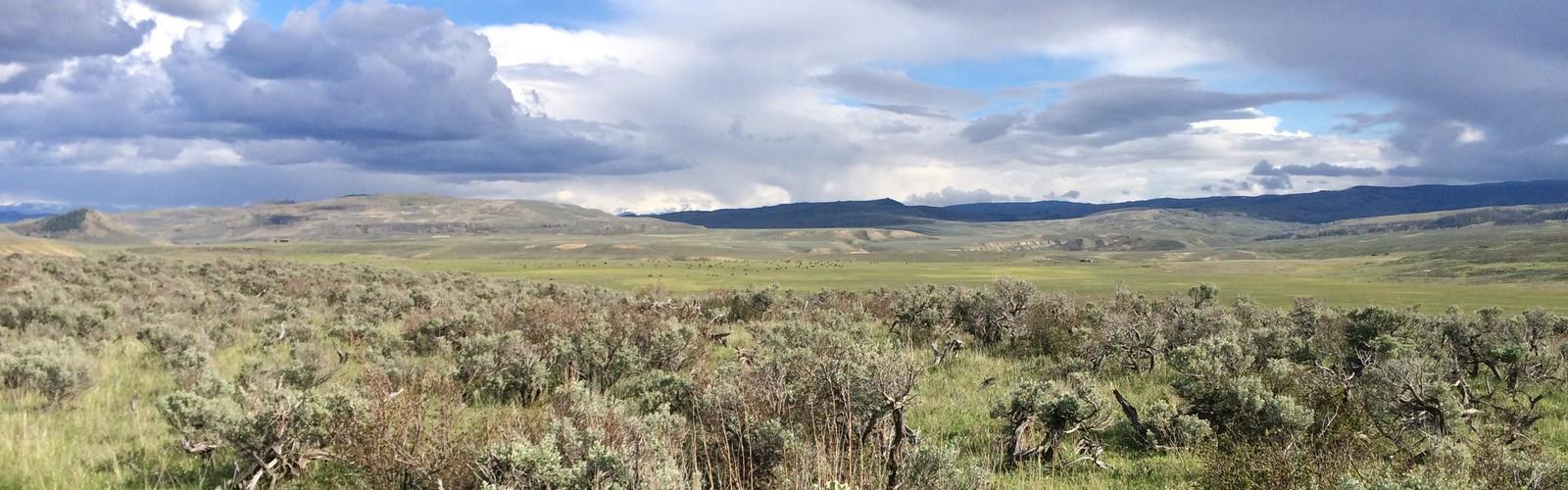 Sentier Rabbit Ears Pass - randonnée en The Great West