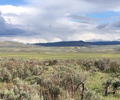 Sentier Rabbit Ears Pass - randonnée en The Great West