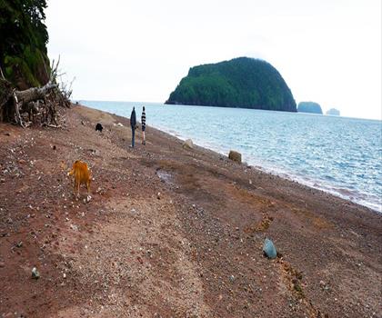 Five Islands Provincial Park trail - hiking in Bay of Fundy & Annapolis Valley