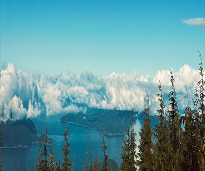 Hollyburn Mountain trail - hiking in Vancouver Coast Mountains