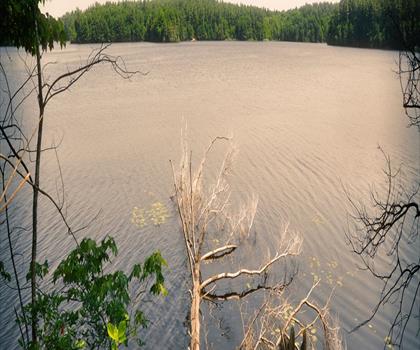 Massasoit State Park trail - hiking in South Shore