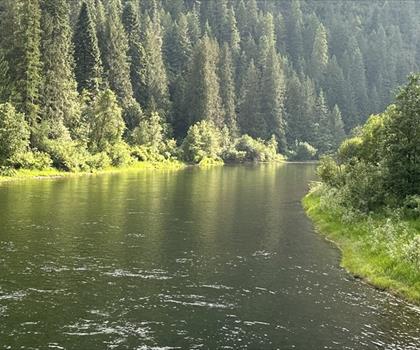 Saint Joe River trail - hiking in Northern Idaho