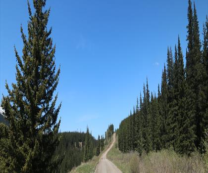 Sentier mont Bryant - randonnée en Canadian Rockies