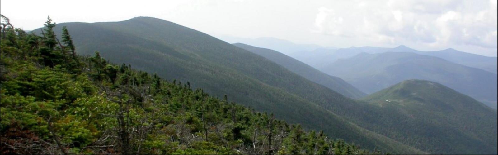 Randonnée Galehead Mountain, New Hampshire - vue panoramique  mountain outdoor sky nature tree fog landscape cloud hill hill station hillside background plant overlooking lush distance highland