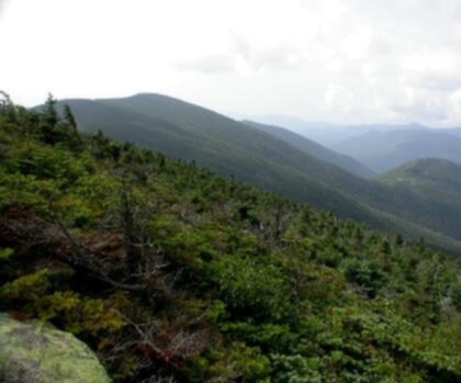 Galehead Mountain, New Hampshire trail - hiking in White Mountains  mountain outdoor sky nature tree fog landscape cloud hill hill station hillside background plant overlooking lush distance highland