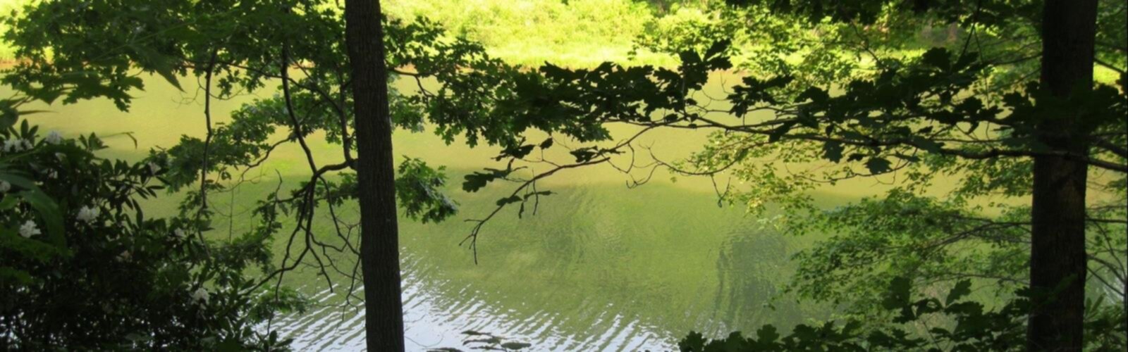 Laurel Hill, Pennsylvania trail - hiking in Valleys of the Susquehanna  tree outdoor water nature landscape plant sky lake wooded