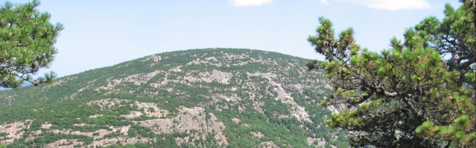 Hiking Dorr Mountain, Maine - panoramic view  outdoor sky mountain nature hill plant hillside day tree