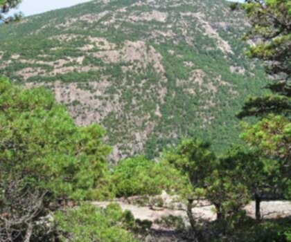 Dorr Mountain, Maine trail - hiking in Down East & Acadia  outdoor sky mountain nature hill plant hillside day tree