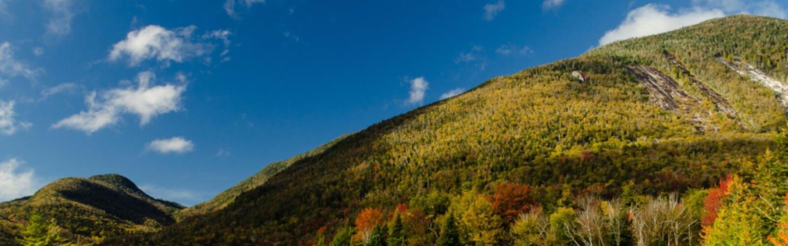 Hiking Gray Peak, New York - panoramic view  outdoor sky mountain autumn cloud landscape nature fall tree plant hill hillside day lush highland