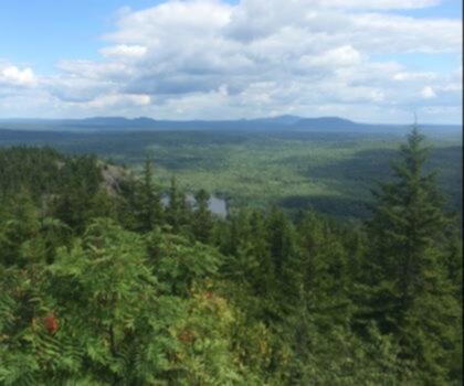 Penobscot Mountain, Maine trail - hiking in Down East & Acadia  tree outdoor plant conifer mountain forest wooded