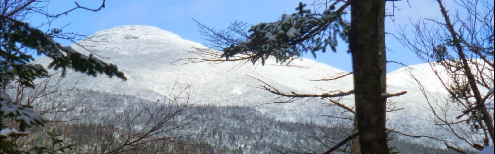 Hiking Calamity Mountain, New York - panoramic view  tree outdoor sky snow covered plant winter nature conifer forest wooded hillside day