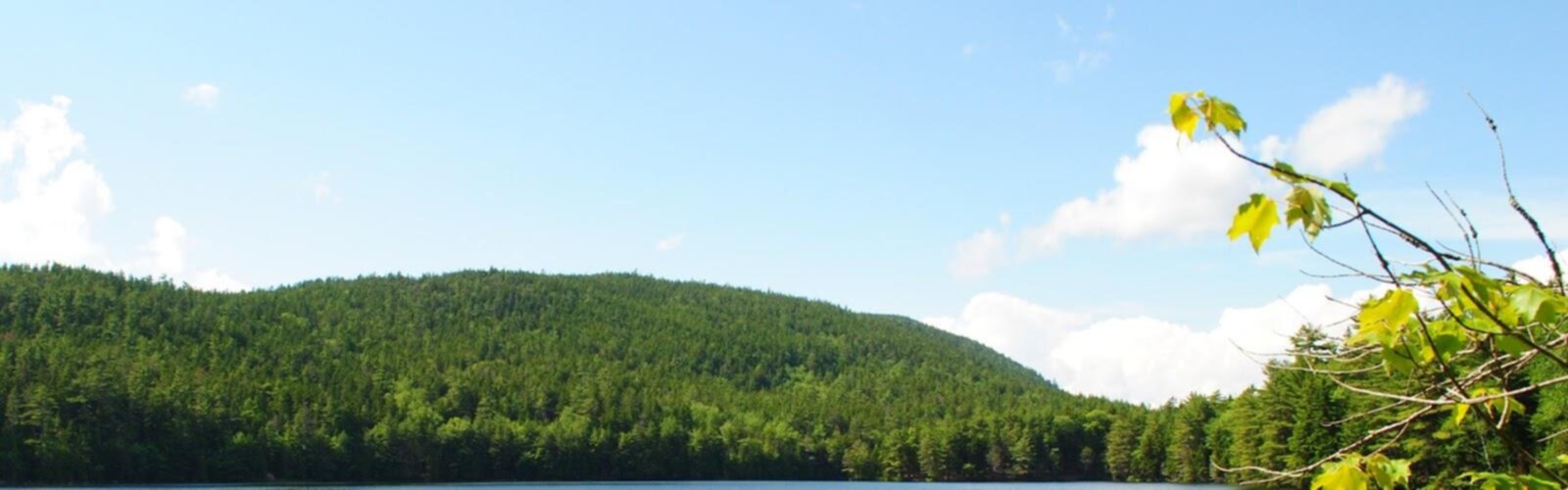 Hiking Norumbega Mountain, Maine - panoramic view  tree sky outdoor cloud mountain lake nature surrounded forest day lush highland plant