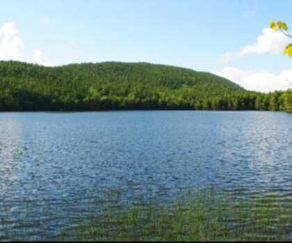 Norumbega Mountain, Maine trail - hiking in Down East & Acadia  tree sky outdoor cloud mountain lake nature surrounded forest day lush highland plant