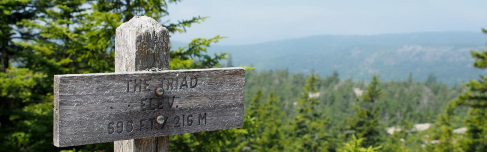 Hiking The Triad, Maine - panoramic view  tree outdoor sky wooden plant text mountain grave wood gravestone