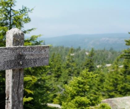 The Triad, Maine trail - hiking in Down East & Acadia  tree outdoor sky wooden plant text mountain grave wood gravestone