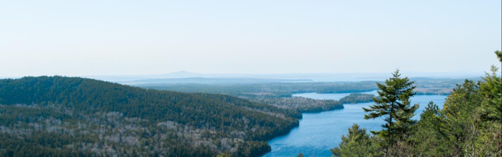 Beech Mountain, Maine trail - hiking in Down East & Acadia