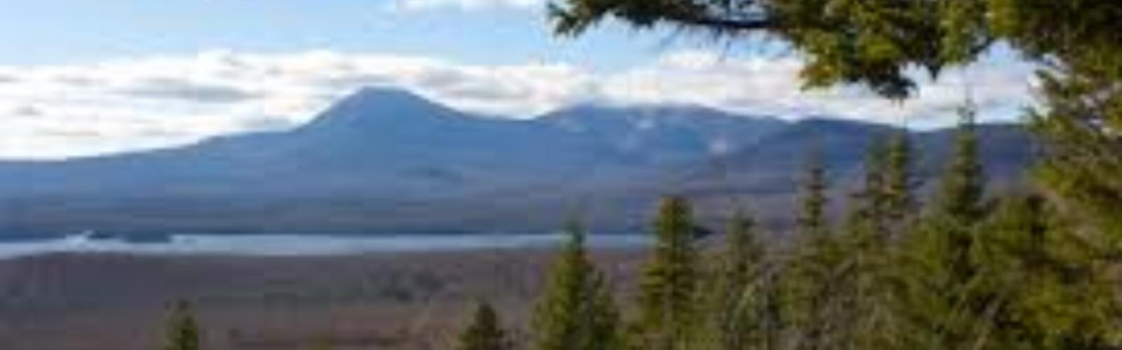 Hiking Bernard Mountain, Maine - panoramic view  tree outdoor mountain landscape cloud nature sky plant
