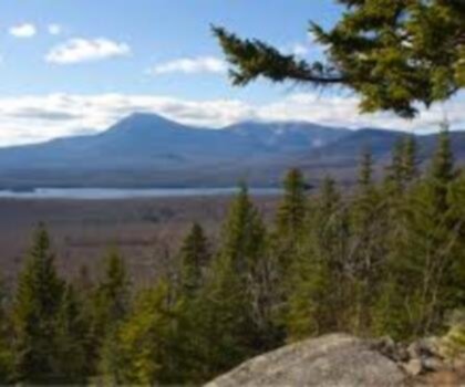 Bernard Mountain, Maine trail - hiking in Down East & Acadia  tree outdoor mountain landscape cloud nature sky plant