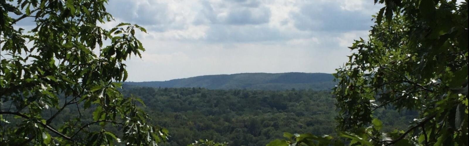 Hiking Bailey Benchmark, New York - panoramic view  tree outdoor sky cloud mountain plant lush hillside