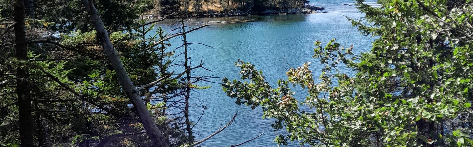 Duck Harbor Mountain, Maine trail - hiking in Down East & Acadia