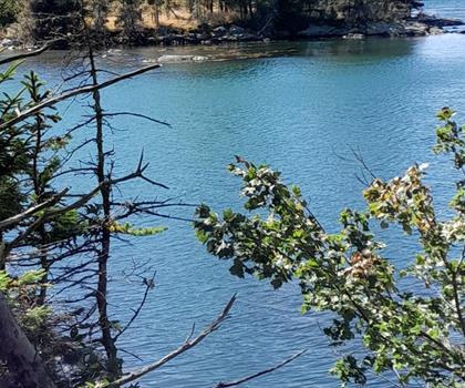 Duck Harbor Mountain, Maine trail - hiking in Down East & Acadia