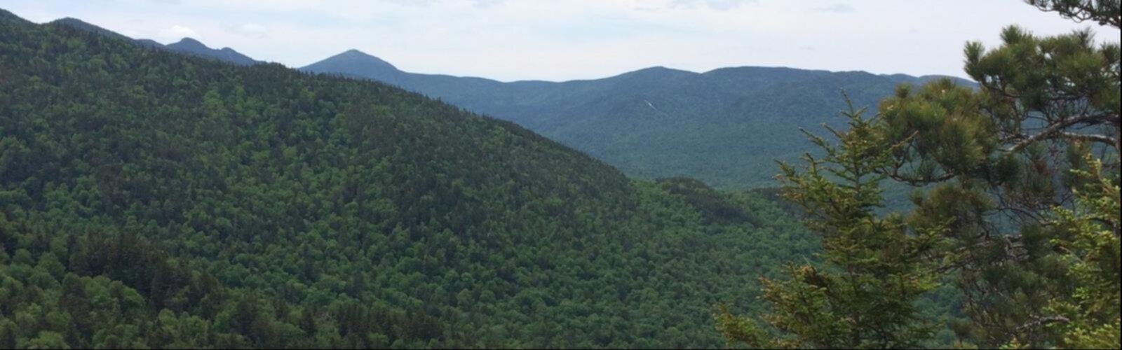 Randonnée Rooster Comb, New York - vue panoramique  mountain tree outdoor sky nature cloud green hill station hill hillside lush surrounded forest highland araucaria tree plant
