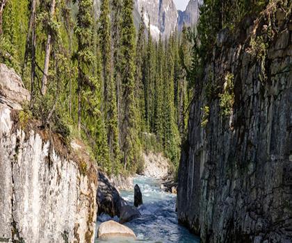 Marble Canyon trail - hiking in Kootenay Rockies