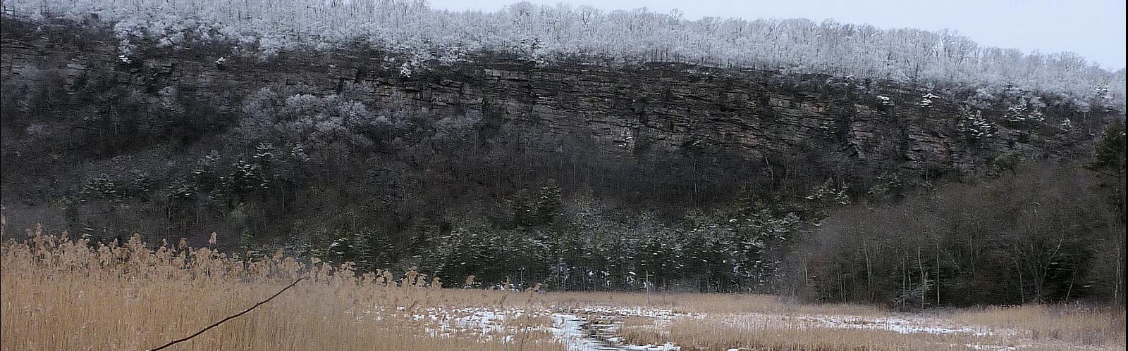 Hiking Green Pond Mountain, New York - panoramic view  outdoor grass nature grazing field animal water herd pond pasture lake cattle