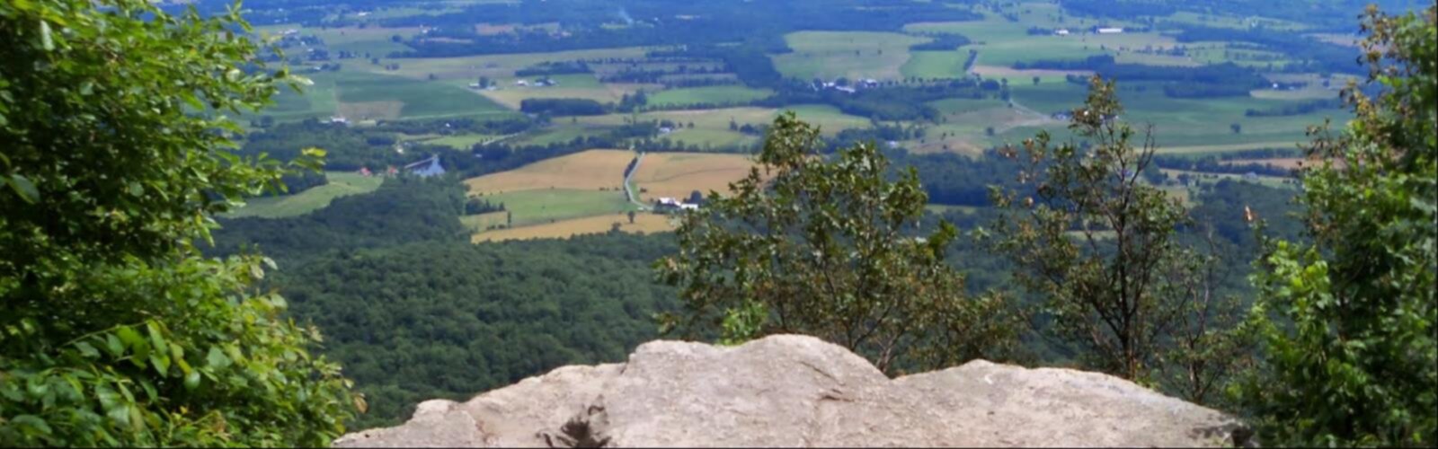 Randonnée Rockhouse Mountain, New York - vue panoramique  mountain outdoor tree rock nature landscape hill hillside plant lush highland