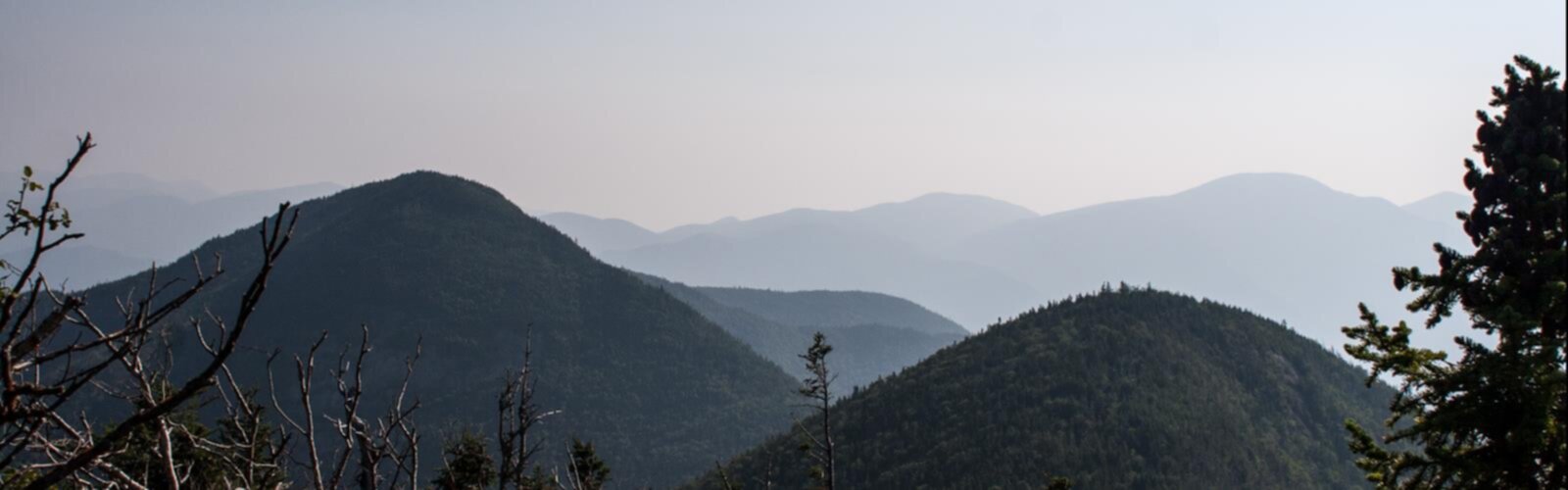 Randonnée Upper Wolfjaw Mountain, New York - vue panoramique  mountain outdoor sky fog tree landscape nature hill cloud hillside distance highland plant