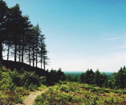 Mount Agamenticus, Maine trail - hiking in Maine Beaches