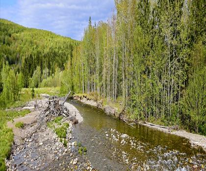 margaree river trail - hiking in Cape Breton Island