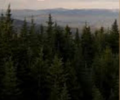 East Mountain, Vermont trail - hiking in Northeast Kingdom