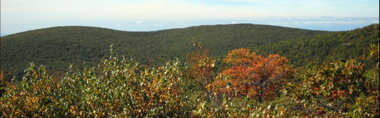 Randonnée Round Mountain, New York - vue panoramique