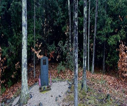 otis trail trail - hiking in Cape Cod