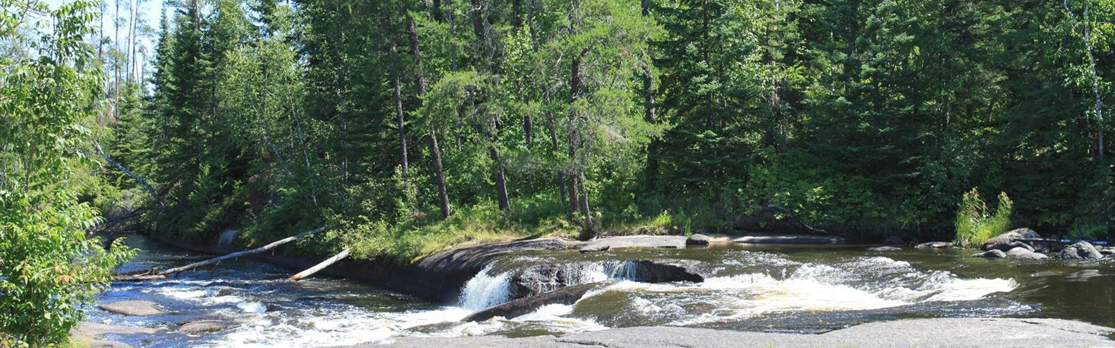 Sentier Pine Point Rapids - randonnée en Région de l'Est