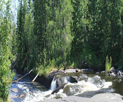 Sentier Pine Point Rapids - randonnée en Région de l'Est