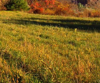Golden Eagle trail - hiking in Pocono Mountains