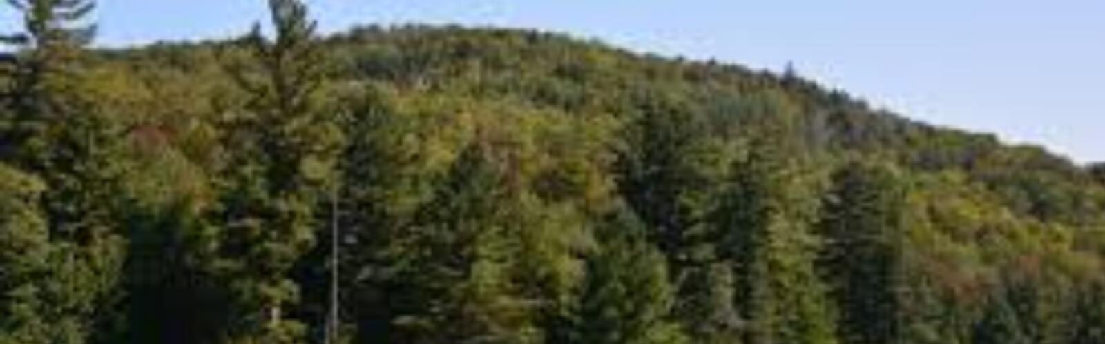 Hiking Wolf Pond Mountain, New York - panoramic view