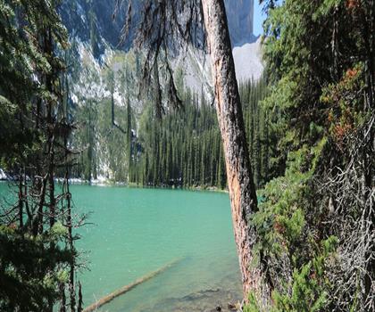 Sentier lac Ribbon - randonnée en Canadian Rockies