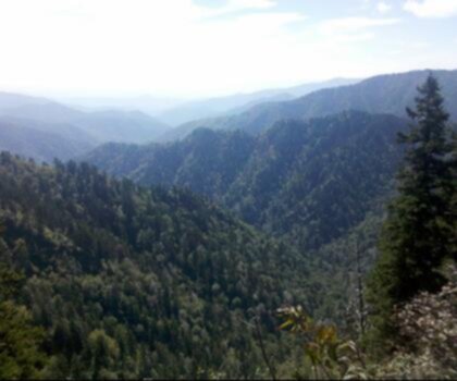 Sentier Tricorner Knob, Tennessee_North Carolina - randonnée en East Tennessee