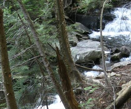 Ricketts Glen trail - hiking in Pocono Mountains
