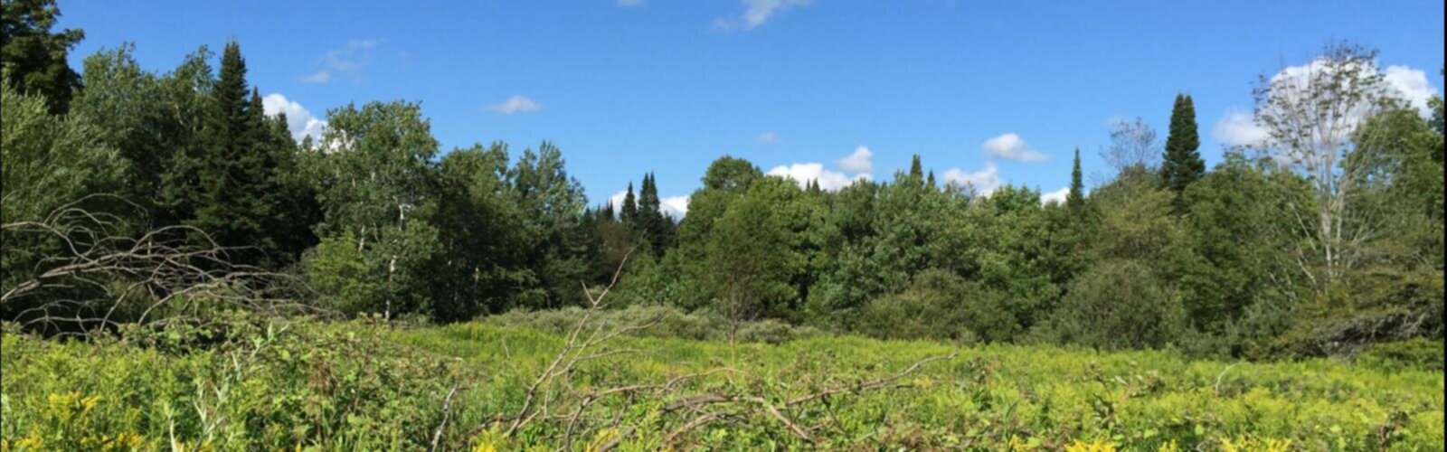 Gomer Hill, New York trail - hiking in Adirondacks