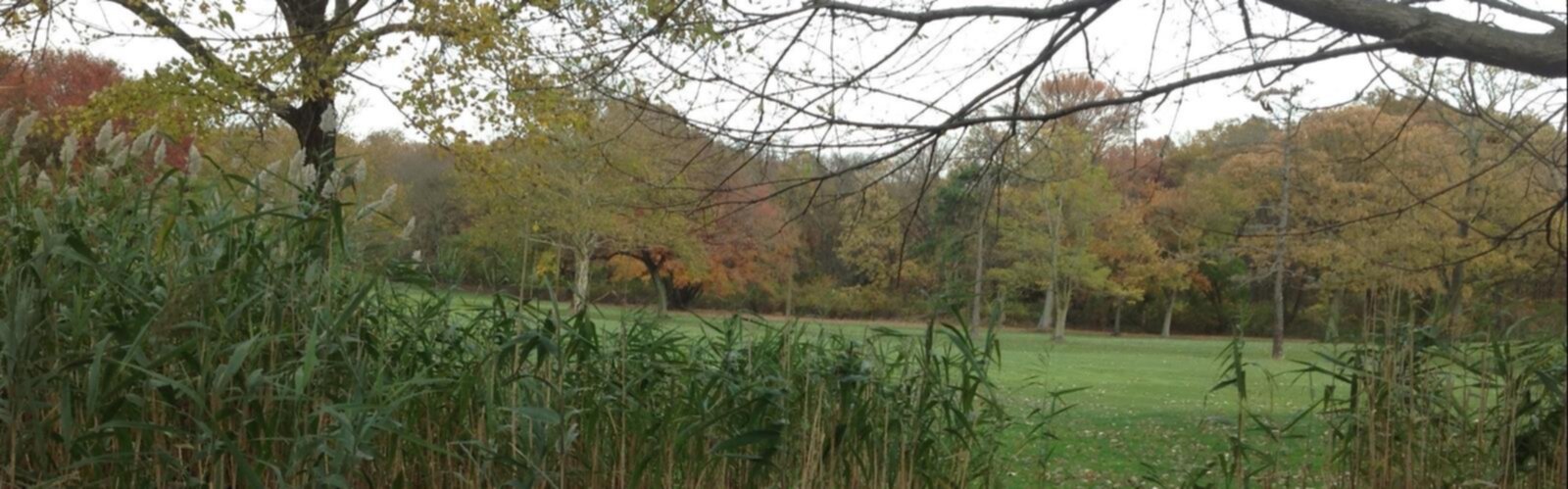 Hiking Todt Hill, New York - panoramic view