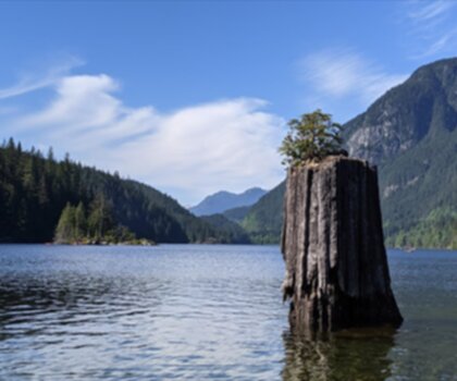 Buntzen Lake trail - hiking in Vancouver Coast Mountains