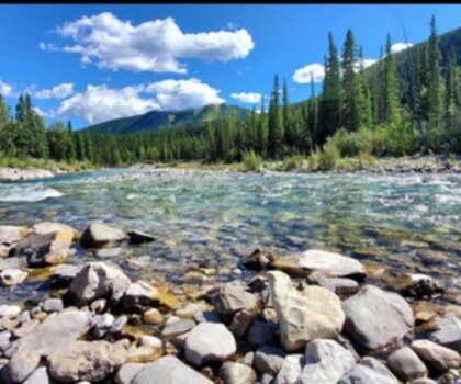 Elbow Falls trail - hiking in Calgary & Area