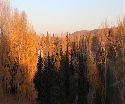 Confederation Park trail - hiking in Calgary & Area