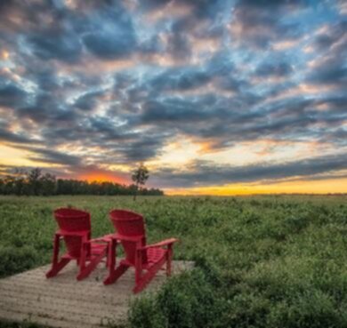 Wood Bison Trail, Elk Island National Park, Alberta trail - hiking in Edmonton & Area