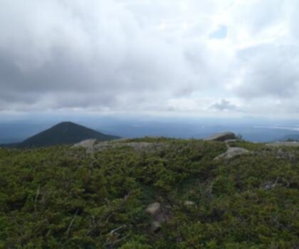 North Brother, Maine trail - hiking in Maine Highlands